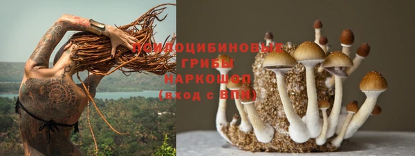 прущий лед Абдулино