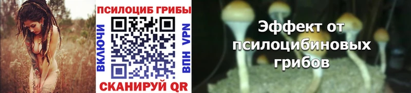 Псилоцибиновые грибы прущие грибы  купить наркоту  mega как зайти  Тверь 